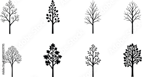 Tree silhouette vector illustration set, black nature icons, seasonal foliage clipart bundle for design, abstract, botanical, educational, decorative, and comparative use
