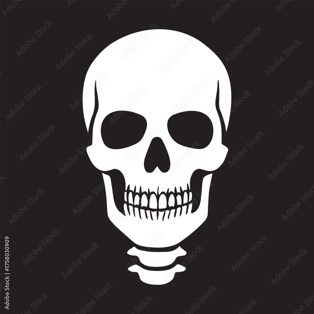 Obraz premium Detailed vector illustration of a human skull