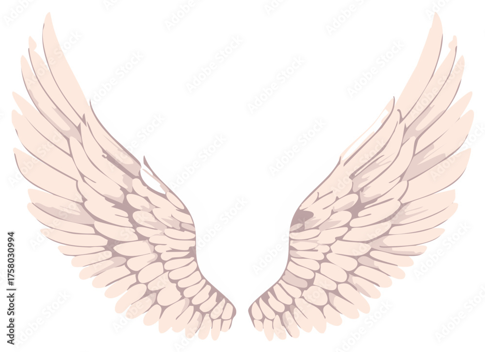 Obraz premium Pair of abstract stylized white wings illustration