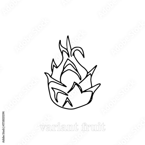 dragonfruit, apple fruit isolated on white background. coloring book. Hand draw line art doodle fruits. outline doodle coloring page isolated on white background. Summer coloring book for kids