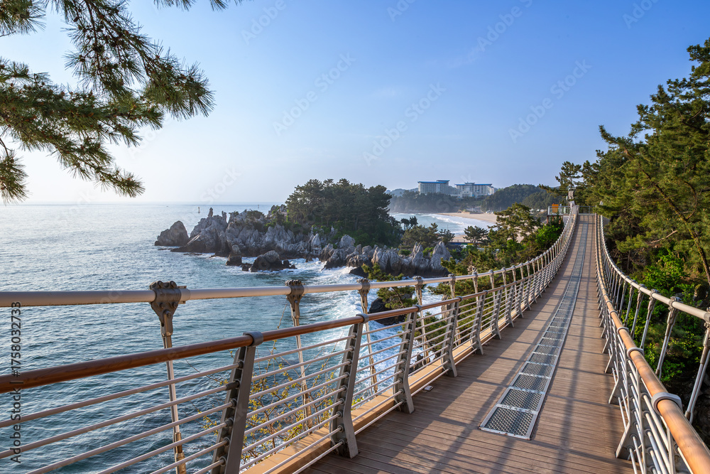 Obraz premium Samcheok Chuwam Candlestick Rock Suspension Bridge