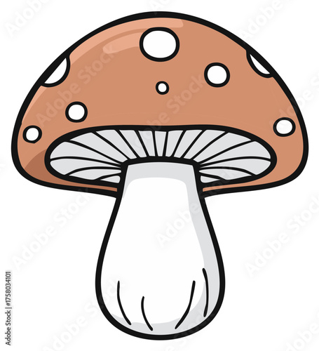 Mushroom illustration with brown cap and white spots, isolated mushroom design. Vector single cute fungi with gills.