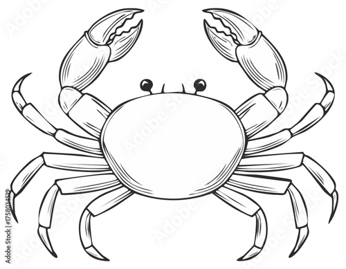 Engraving of a Large Crab with Claws Up Detailed Outline Illustration