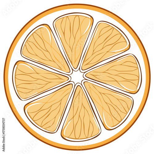 Orange Slice Illustration with Juicy Segments and Circular Shape