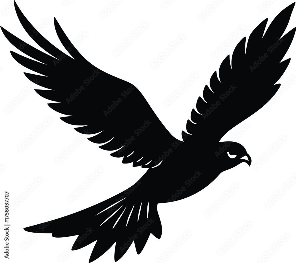 Obraz premium eagle vector illustration