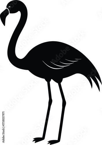 A colorful vector illustration depicts a tropical crane, a pink flamingo, and an ostrich standing together as diverse wildlife birds