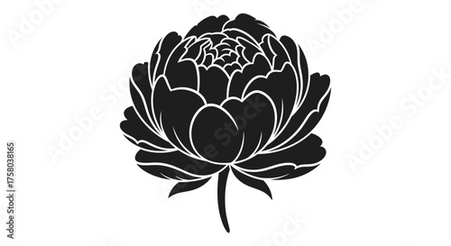 A stylized black flower with many layers of petals and a short stem