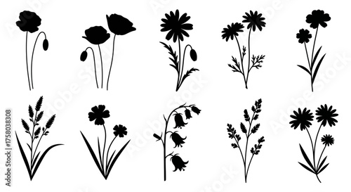 A collection of black silhouettes of various wildflowers, including poppies and bellflowers