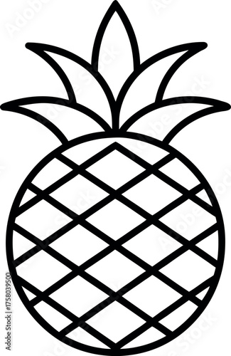 pineapple vector illustration