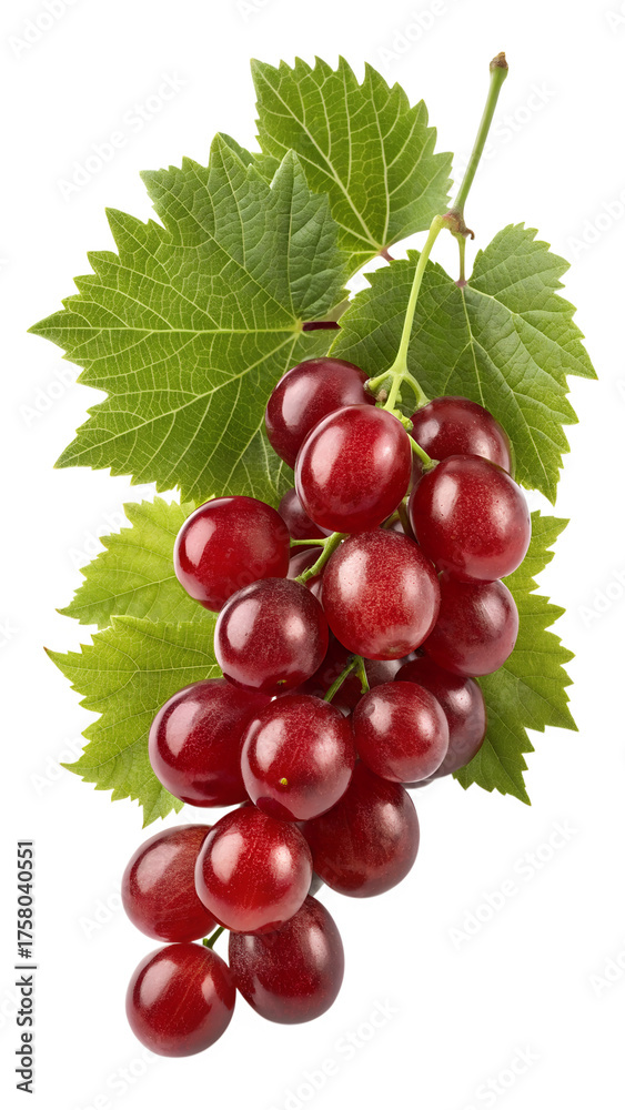 Fototapeta premium Vertical Close-up of Red Grape Bunch with Green Leaves