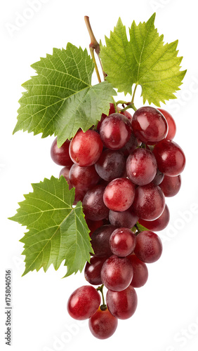 Vertical Close-up of Red Grape Bunch with Green Leaves