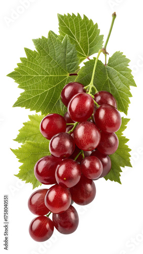Vertical Close-up of Red Grape Bunch with Green Leaves