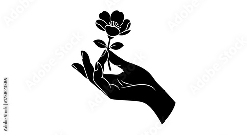 Black silhouette of a delicate hand holding a single blooming flower with leaves against a white background