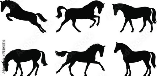 Dynamic silhouette collection six elegant horses galloping jumping grazing and standing powerful equine poses wildlife animal art