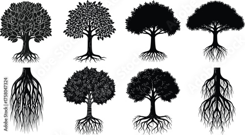 Tree silhouette vector illustration, diverse forest design with visible root structures and unique canopy shapes, abstract botanical art, decorative nature elements, creative woodland inspiration