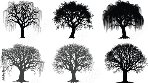 Tree silhouette vector illustration, diverse seasonal forest design with bare branches and unique canopy patterns, abstract botanical art, decorative nature elements, creative woodland inspiration