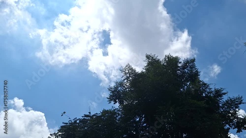 Blue Sky with White Clouds Above Green Trees on a Sunny Day