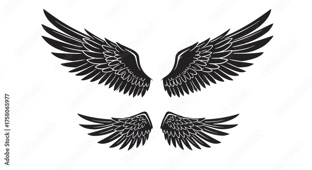 Fototapeta premium A detailed illustration of black feathered wings spread symmetrically apart