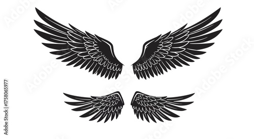 A detailed illustration of black feathered wings spread symmetrically apart
