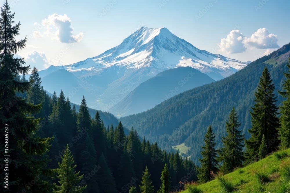 Fototapeta premium Snow-capped Mount Rainier dominates lush rainforest , landscape, vibrant, view