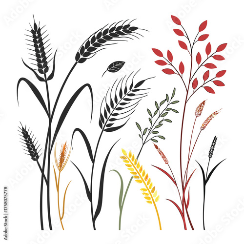 Diverse Set of Wheat Ears and Cereal Crop Silhouettes in Black, Gold, and Red Botanical Illustration