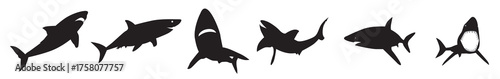 Set of shark fish vector illustration