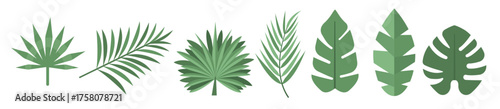 Palmetto Vector