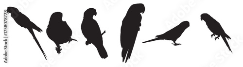 parrot silhouette vector