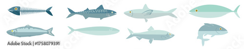 Sardine Vector illustration