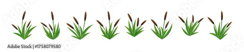 set of cattails vector 