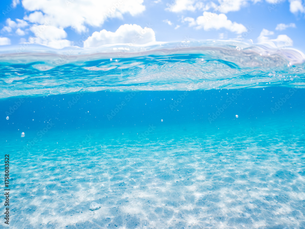 Fototapeta premium 安室島の白砂ビーチの半水面撮影。観光客やパラソル、テントが見える。美しいサンゴ礁と熱帯魚の群れ。 安室島沖縄県 島尻郡慶良間諸島座間味島-2025 サンゴの産卵があり卵が漂う。沖縄本島から40km西方の諸島。30以上の島嶼群全体が国立公園に指定。珊瑚礁の青い海と白い砂浜は世界屈指の美。貴重な動植物が多数生息。 