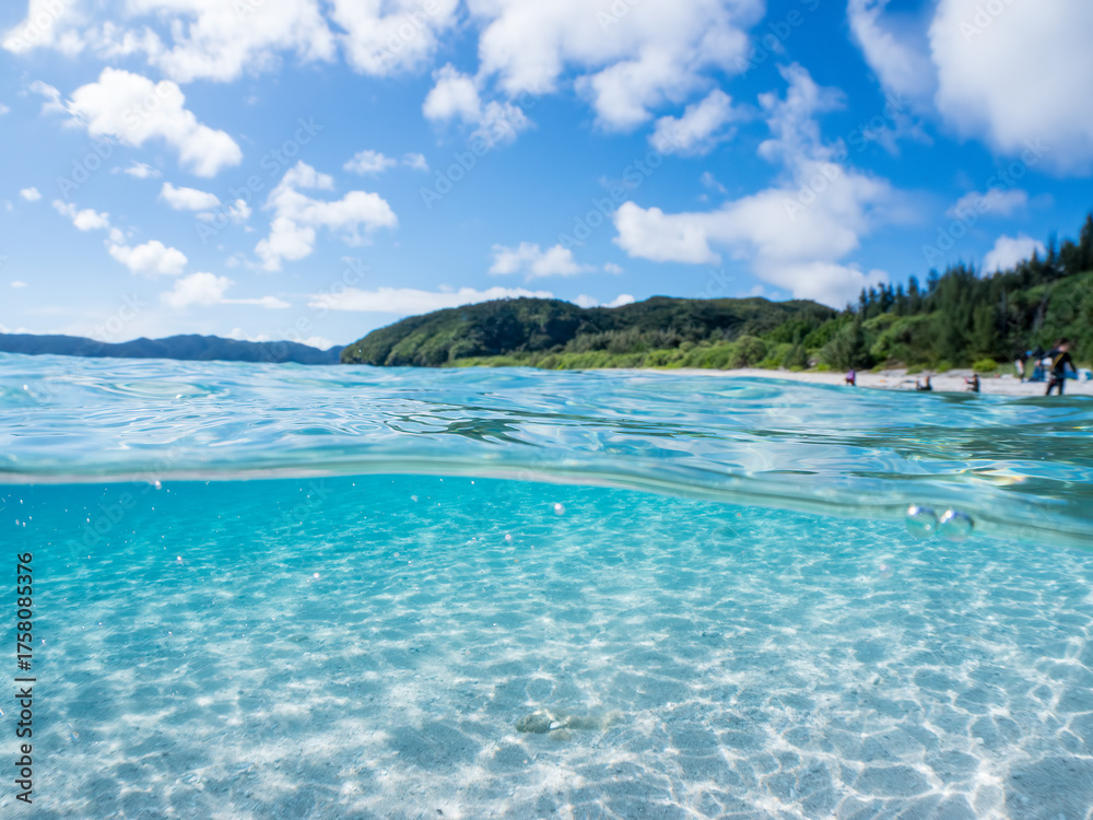 Fototapeta premium 安室島の白砂ビーチの半水面撮影。観光客やパラソル、テントが見える。美しいサンゴ礁と熱帯魚の群れ。 安室島沖縄県 島尻郡慶良間諸島座間味島-2025 サンゴの産卵があり卵が漂う。沖縄本島から40km西方の諸島。30以上の島嶼群全体が国立公園に指定。珊瑚礁の青い海と白い砂浜は世界屈指の美。貴重な動植物が多数生息。 