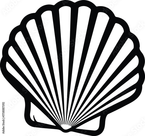 Vector Seashell scallop black and white outline seashell silhouette illustration
