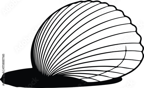Vector Seashell sea shell seafood mollusk scallop black silhouette illustration