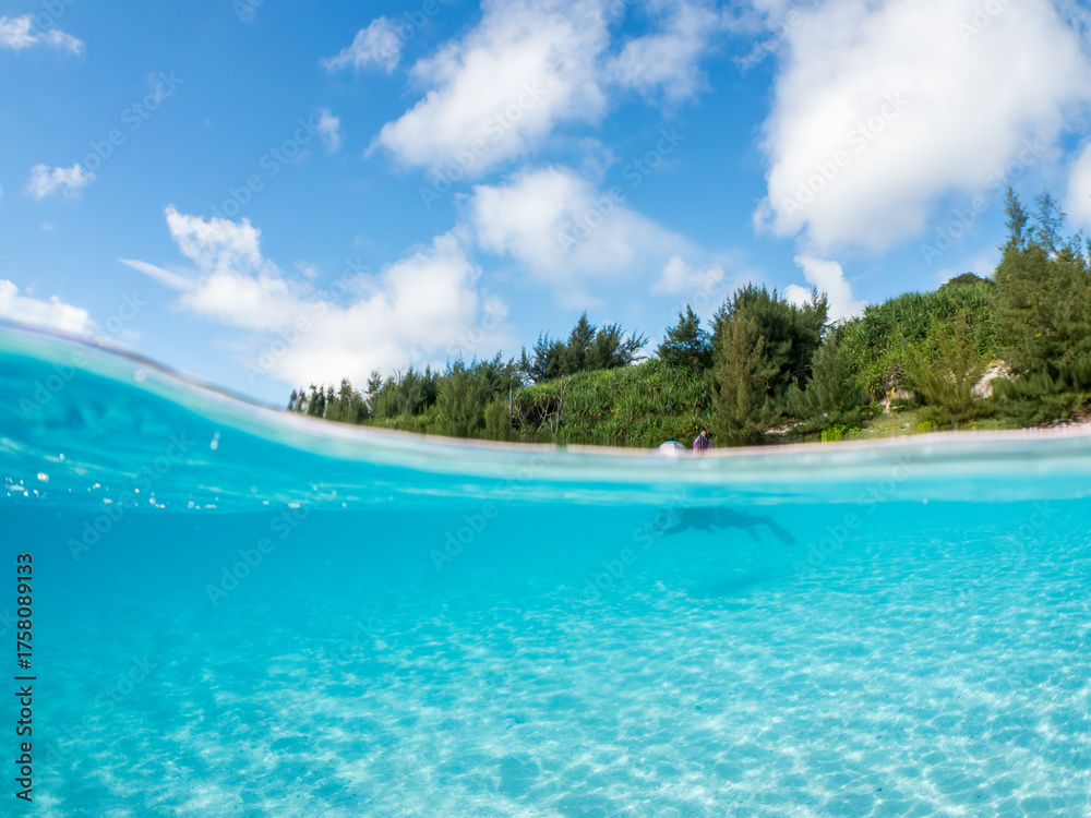 Fototapeta premium 安室島の白砂ビーチの半水面撮影。観光客やパラソル、テントが見える。美しいサンゴ礁と熱帯魚の群れ。 安室島沖縄県 島尻郡慶良間諸島座間味島-2025 サンゴの産卵があり卵が漂う。沖縄本島から40km西方の諸島。30以上の島嶼群全体が国立公園に指定。珊瑚礁の青い海と白い砂浜は世界屈指の美。貴重な動植物が多数生息。 