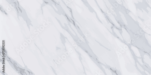 Abstract Grey Water Color Background with Fluid Shapes for Modern Design and Creative Projects