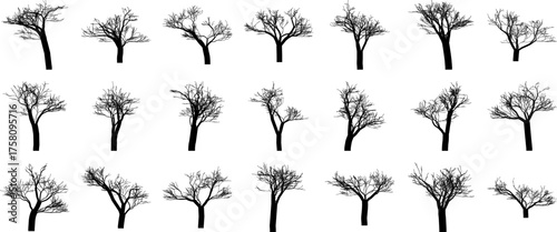 Hand made Collection of bare tree silhouettes various shapes and sizes vector illustration for design elements By illustrator