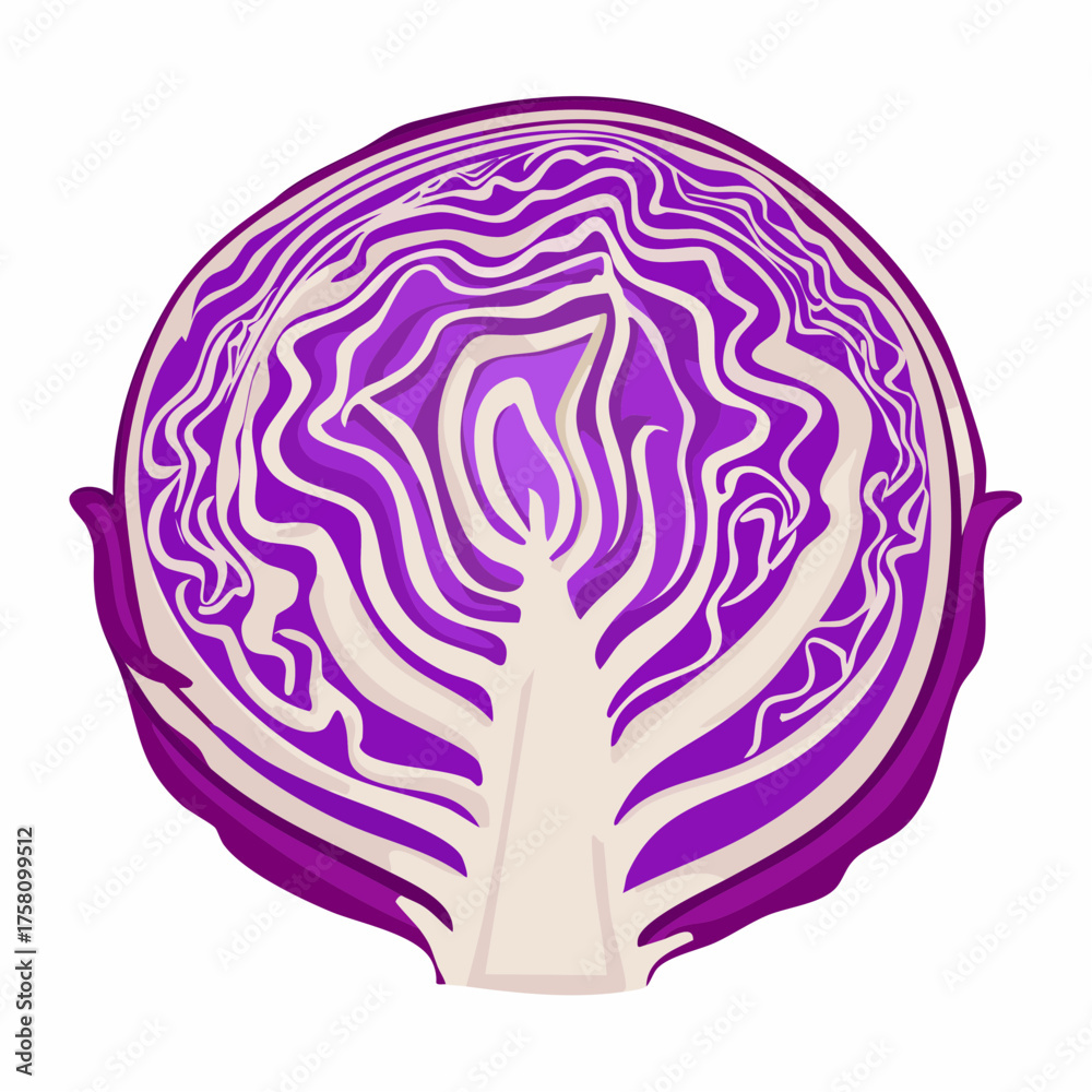 Obraz premium Close up sliced or cut fresh purple or red cabbage in a half, top view flat lay to present surface and texture of cabbage use for background or wallpaper.