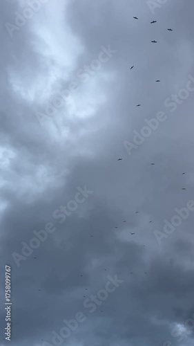 clouds in the sky