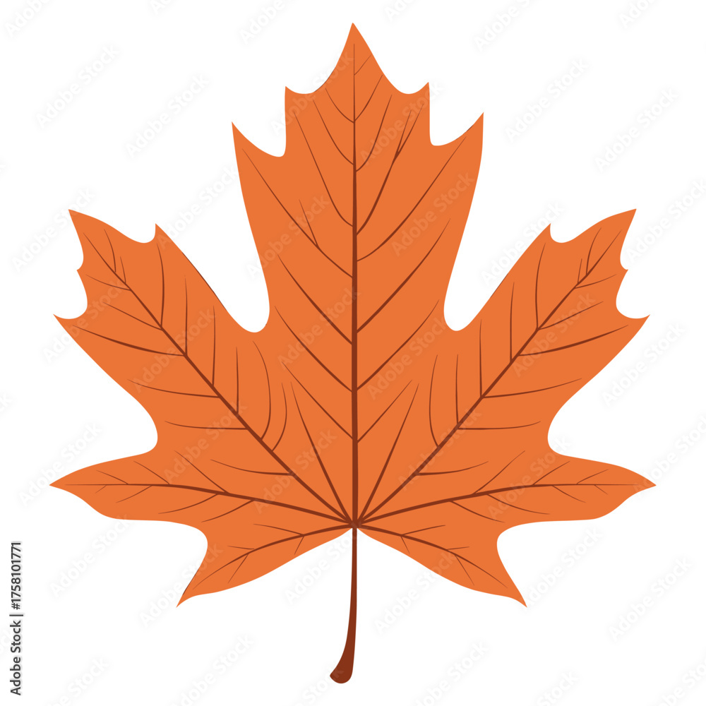 Obraz premium Maple leaf illustration vibrant animal vector