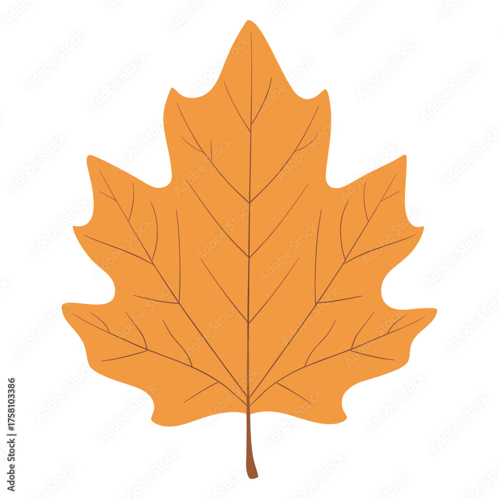 Obraz premium Autumn hickory leaf illustration simple fall vector