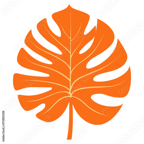 Orange monstera leaf illustration botanical dynamite vector