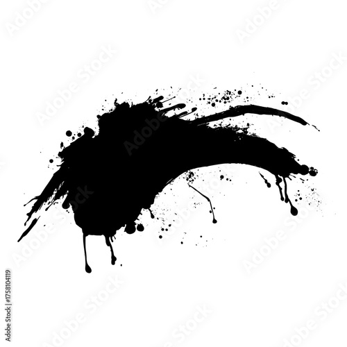 A paint brush stroke abstract black art vector