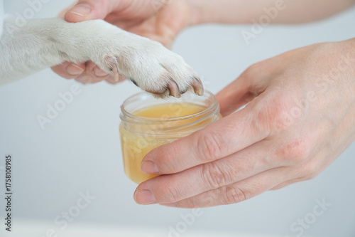 The owner puts wax on the dog's paws. 