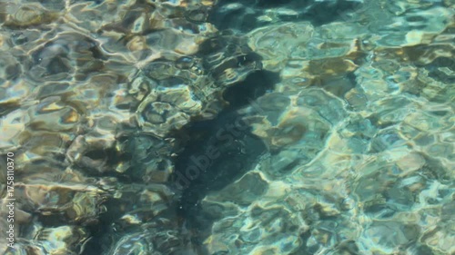 Crystal clear sea water rippling over a rocky seabed in bright sunshine, creating abstract patterns
