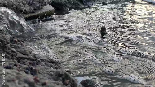 water flow in the pond