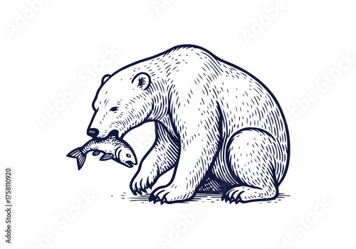 Polar Bear hand drawn simple engraved vector illustration