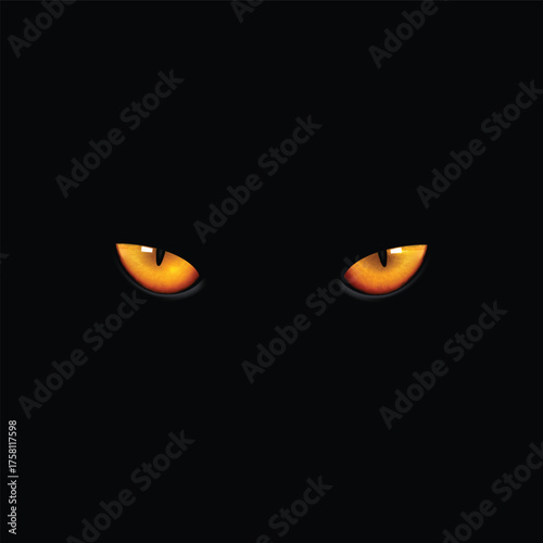 Glowing Orange Cat Eyes in Darkness animal
