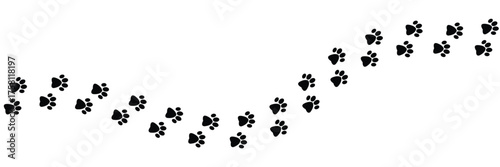 Vector paw trail of animal footprint. Dog, cat, puppy, fox, wolf tracks isolated on white background. Animal tracks in silhouette. Wild animal footsteps in eps 10.