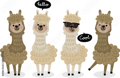 Set of four cute cartoon llamas with speech bubbles